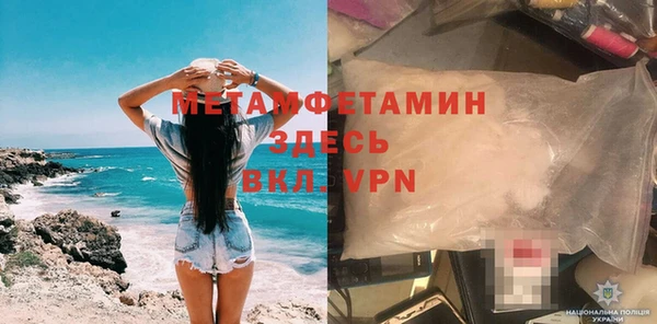 прущие грибы Саяногорск