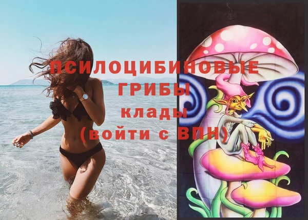 дживик Видное