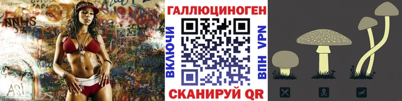 хочу наркоту  mega ТОР  Псилоцибиновые грибы Magic Shrooms  Кяхта 